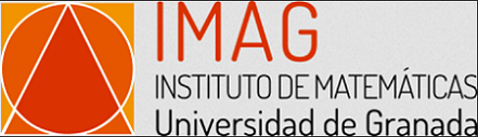IMAG logo